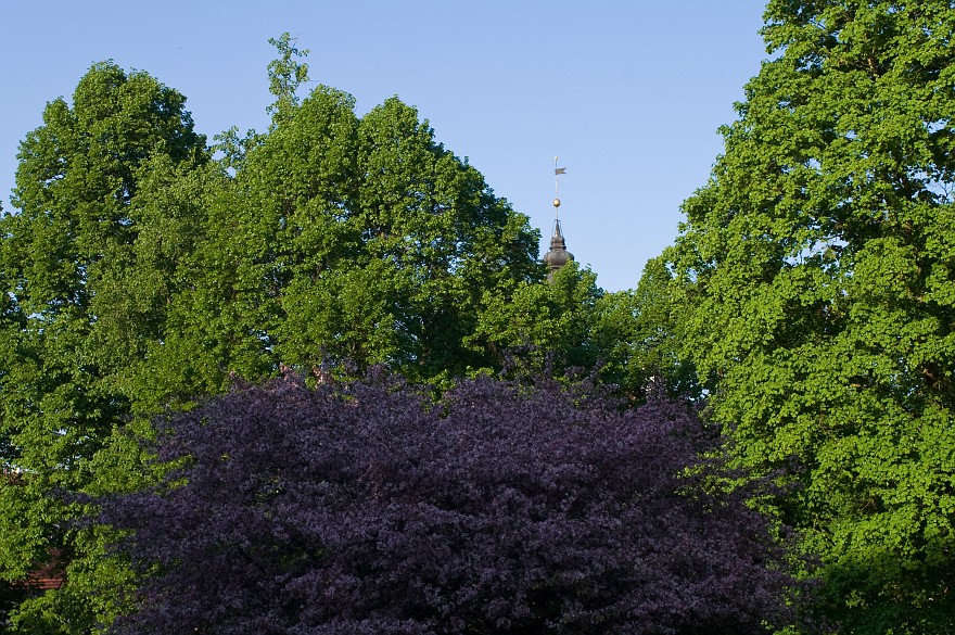 PICT0595.jpg