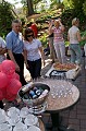 PICT0495
