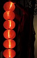 PICT8523-01