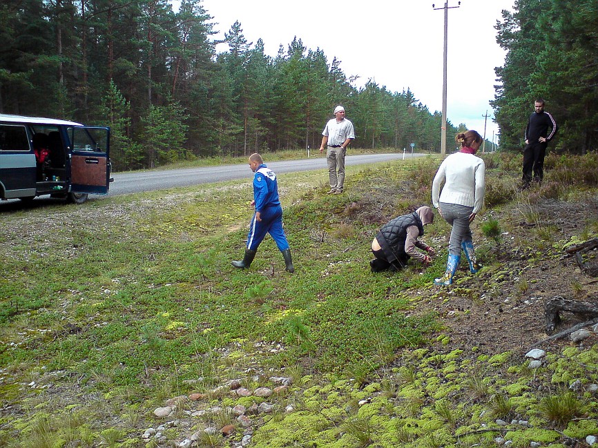 DSC01214.jpg