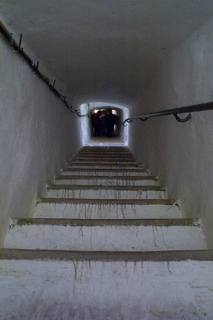 PICT1175.jpg
