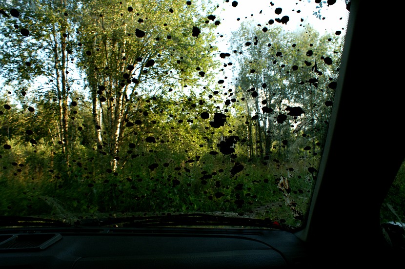 PICT1858.JPG