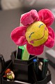PICT0013